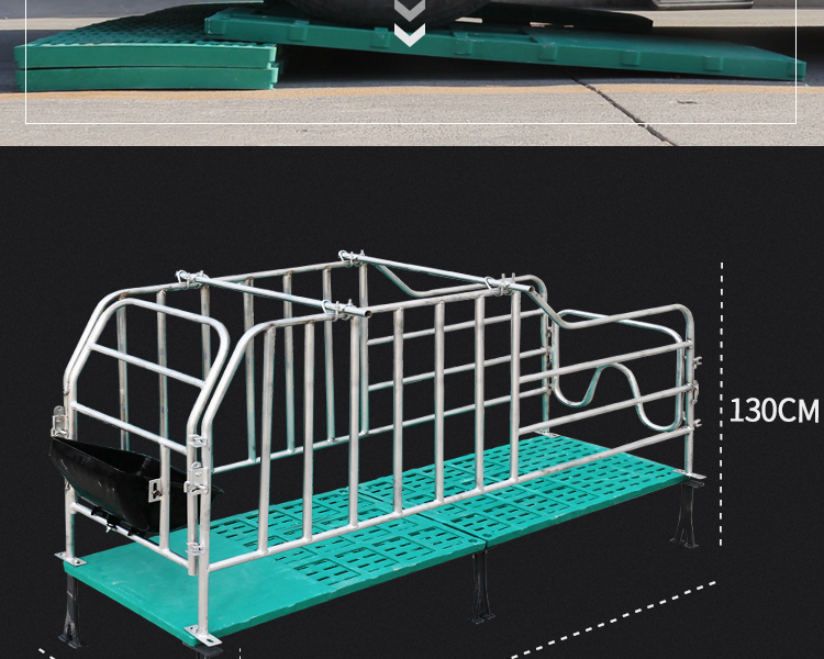 牧赫农牧复合板定位栏限位栏10个母猪位带10个料槽热镀锌管预售45天内