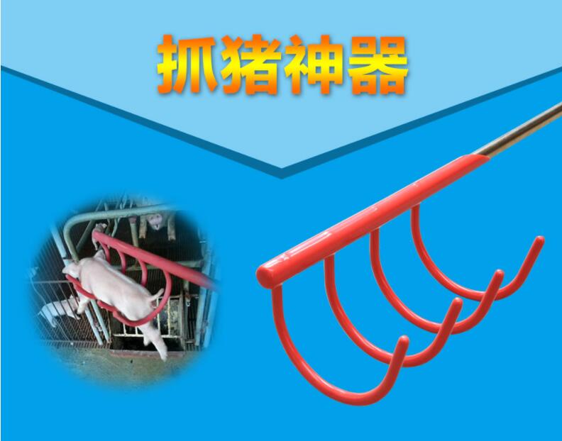 约克york捞猪爪抓猪夹仔猪抓猪工具抓猪保定器产房捞猪器抓猪