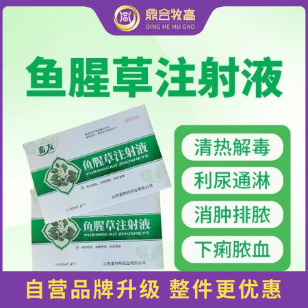 【鼎合牧高】鱼腥草注射液10支/盒母猪产后消炎呼吸道清热解毒消肿利尿原猪易自营