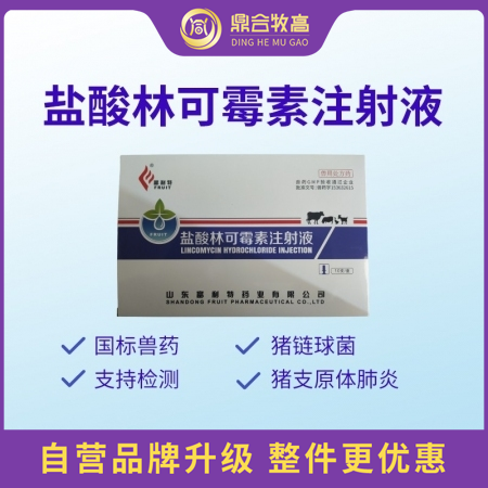 【鼎合牧高】10%鹽酸林可霉素注射液針劑100ml母豬產后保健子宮炎產后消炎關節...