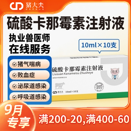 【猪大夫】硫酸卡那霉素注射液抗菌消炎专治大肠杆菌支原体呼吸道泌尿道肠道感染败血症