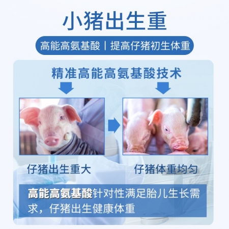 【普吉孕猪03】（普爱饲料升级款）3%妊娠母猪预混料猪饲料 怀孕母猪料 妊娠料