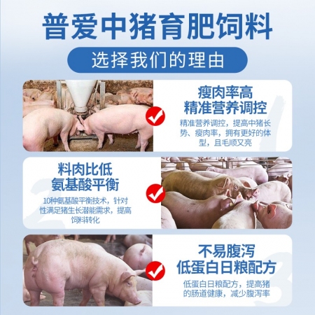 【普吉中大猪03】3%中猪预混料混合料中猪饲料育肥猪饲料预混料