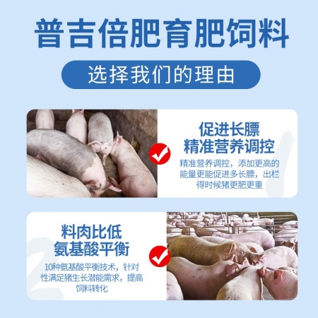 【普吉倍肥】普爱生长猪后期全价饲料 40斤/袋 育肥料猪饲料助生长 猪场用