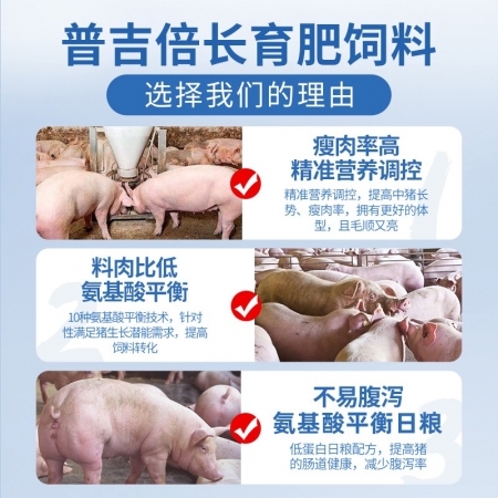 【普吉倍长】普爱育肥猪前期全价饲料 40斤/袋 育肥促生长 配合饲料