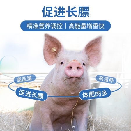 【普吉倍肥】普爱生长猪后期全价饲料 40斤/袋 育肥料猪饲料助生长 猪场用