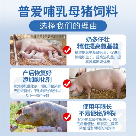 【普吉奶猪12】普爱12%哺乳母猪浓缩料 40斤/袋 哺乳料母猪料 妊娠料