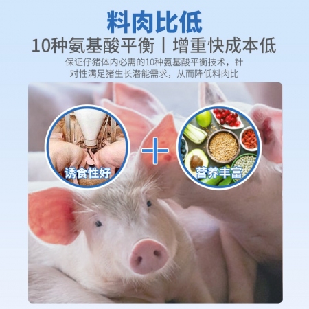 【普吉倍肥】普爱生长猪后期全价饲料 40斤/袋 育肥料猪饲料助生长 猪场用