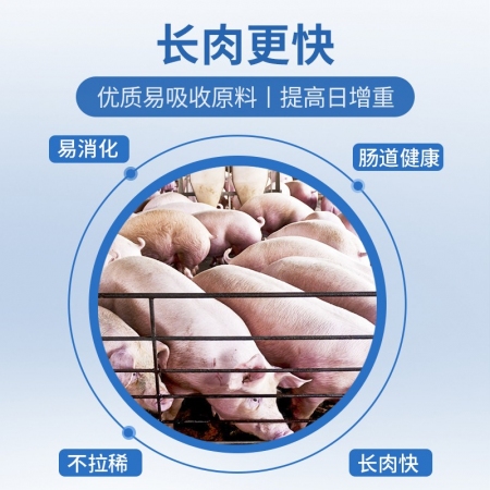【普吉倍肥】普爱生长猪后期全价饲料 40斤/袋 育肥料猪饲料助生长 猪场用