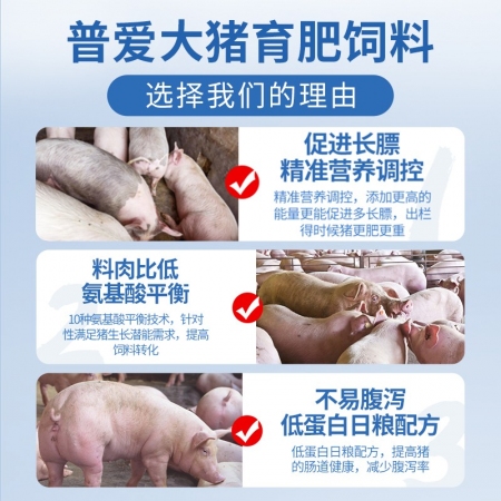 【普吉大猪25】普爱25%育肥猪浓缩饲料 40斤/袋 大猪育肥料中猪饲料预混料混合料