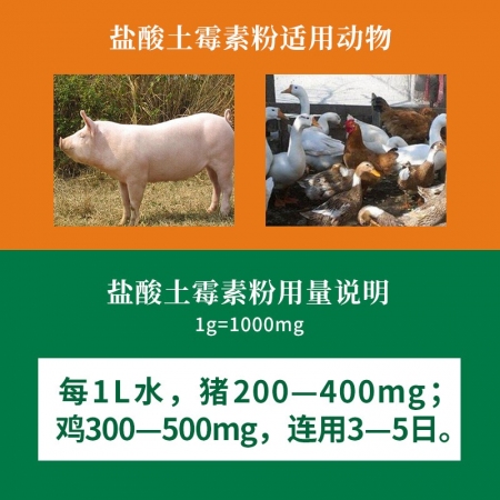 【科尔汇】50%盐酸土霉素可溶性粉整箱100袋猪牛羊禽 产后消炎黄白痢拉稀腹泻四环素类抗生素