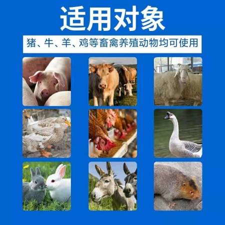 【德信千合】黄连解毒500g/包  畜禽通用  提高免疫力