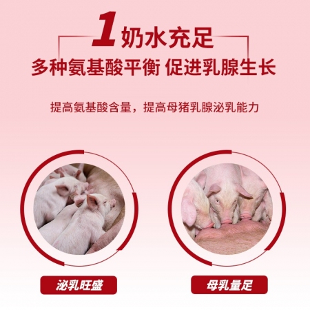 【金昊圆-金妈妈】4%哺乳母猪妊娠母猪预混料 厂家直供 20KG装