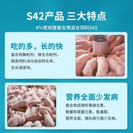【贞齐饲料】4%中猪预混料猪饲料育肥猪饲料吃的多长的快九五牧业