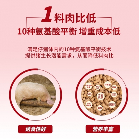 【金昊圆-金圆圆】25%乳猪浓缩饲料  只需添加玉米使用  金昊圆金圆圆乳猪料保育料