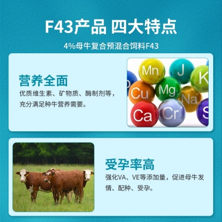 【贞齐饲料】4%种母牛预混料繁殖母牛妊娠期哺乳期促发情配种九五牧业