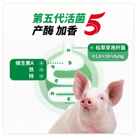 【申慧直通车】活菌益生素500g 产酶加香第四代猪用饲料添加剂