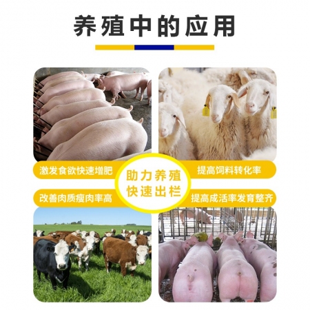 【爱贝威】威特壯肉猪催肥增重肥猪促生长促进消化改善体型增加采食量1000g/袋