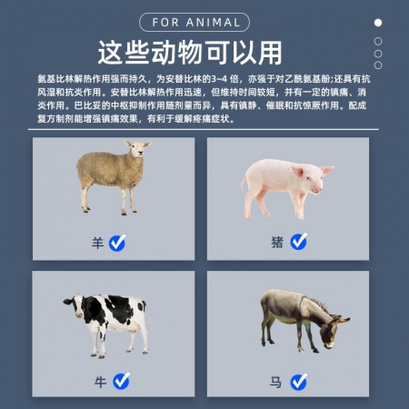 【中龙神力】安痛定注射液解热镇痛 肌肉关节疼痛 抗炎 用于发热性疾病 10ml*10支 国标可追溯