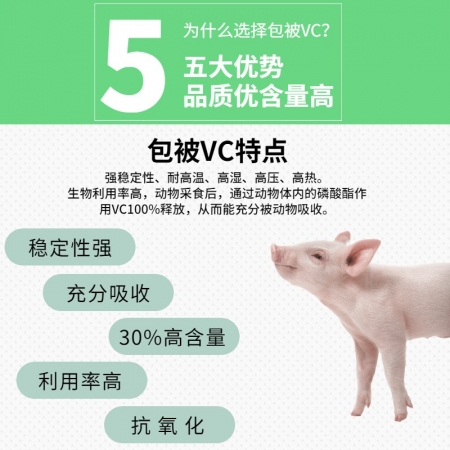 【双冀动保】30%包被VC100g补充维生素C清凉解暑抗热应激保肝增免促进食欲补充微量元素