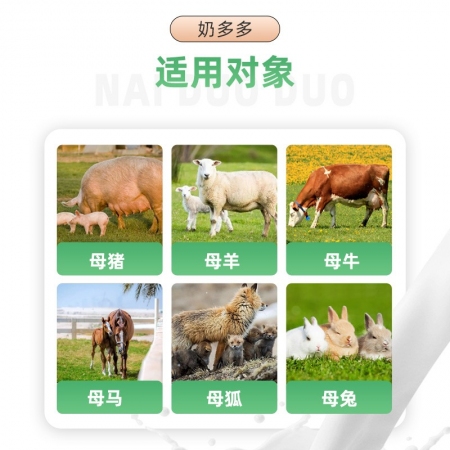 【赛为】奶多多100g母猪催奶催乳添加剂 产后缺乳少奶 功能型营养预混料