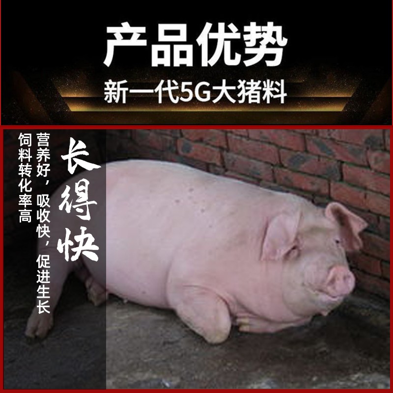 【金昊圆-金八戒】8%强化大猪复合预混合饲料  大肥猪后期阶段按推荐配方