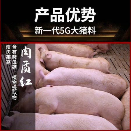 【金昊圆-金八戒】8%强化大猪复合预混合饲料  大肥猪后期阶段按推荐配方
