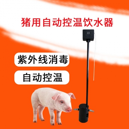猪升源 猪用自动控温饮水器加热恒温猪饮水