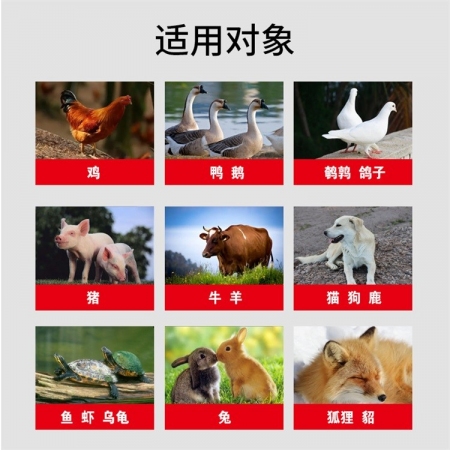 【会德】霉速解 脱霉剂防霉脱霉 黄曲霉毒素b1分解酶 葡萄糖氧化酶 分解霉菌毒素 保肝护肾补充VC