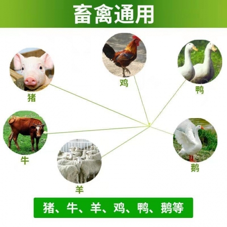 【会德】黄芪多糖注射液 感冒抗病毒 诱导产生干扰素 稀释液 提高免疫力  针剂10ml*10支