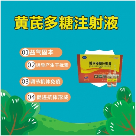 【会德】黄芪多糖注射液 感冒抗病毒 诱导产生干扰素 稀释液 提高免疫力  针剂10ml*10支