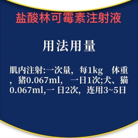 【会德】盐酸林可霉素注射液 母猪产后保健 子宫炎 产后消炎 关节炎 搭配鱼腥草 头孢