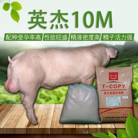   【新喜程】英杰10 10%种公猪预混料 （公猪料）
