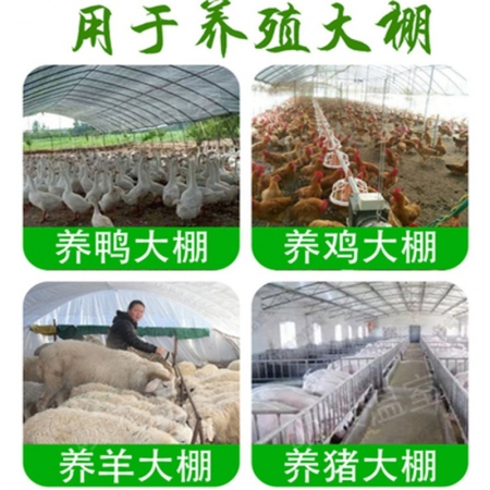 【清汐】大棚养殖塑料暖透明无滴大棚膜保温灯加厚猪舍无滴膜PO膜透明塑料薄膜抗老化绿白养殖暖风膜机