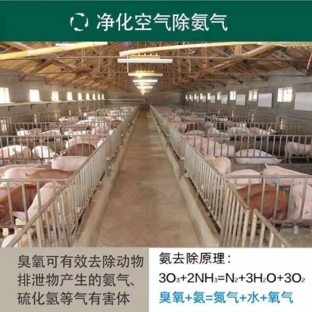  【清汐】臭氧消毒机发生器养猪养殖场环境处理器食品家用除甲醛灭菌除氨气