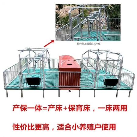  【清汐】母猪产床保育一体两用含定位栏猪用限位栏猪分娩床猪栏养猪场设备