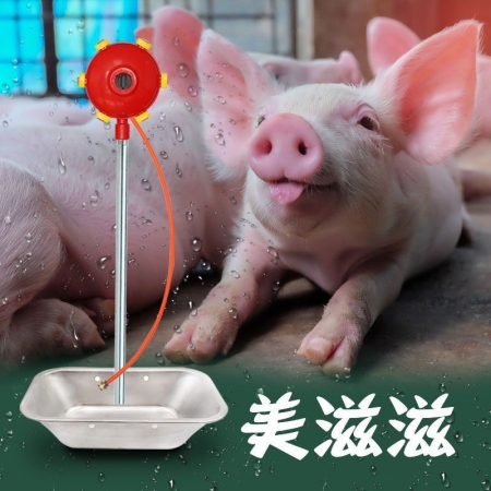 【清汐】猪场饮水器套餐自动水位控制器养殖场饮水全套设备猪用喝水节水器