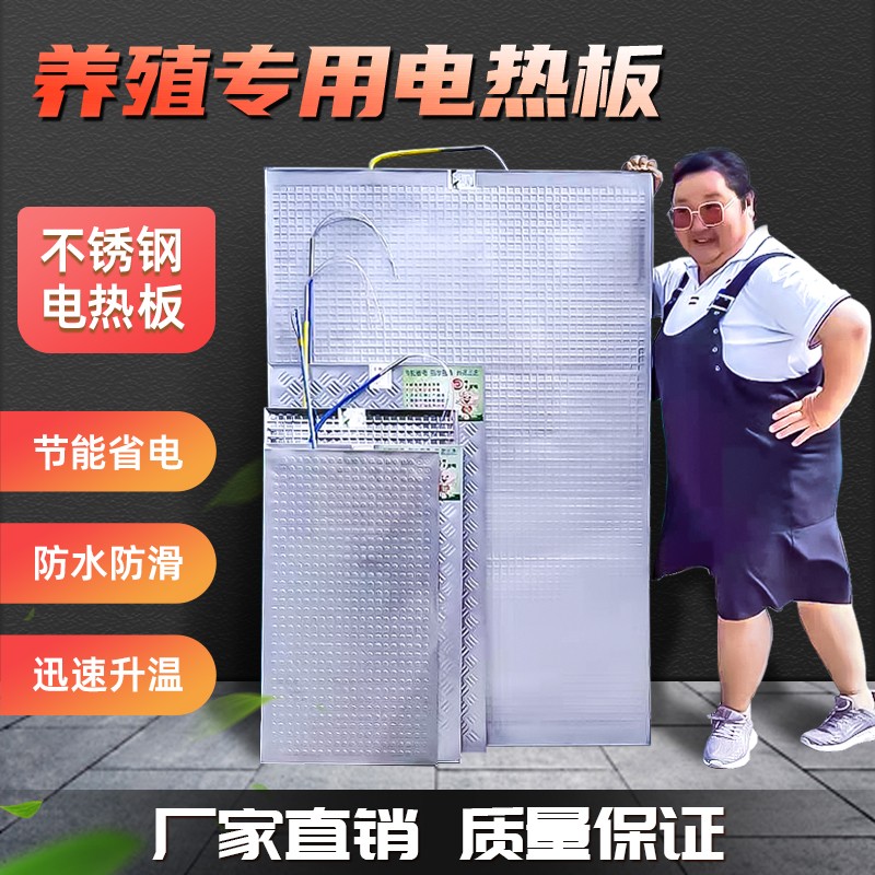 【燚琳】仔猪保温箱电热板不锈钢仔猪加热板全复合仔猪保温箱猪场养殖设备