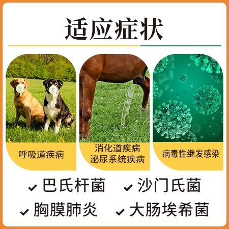 【猪大夫】盐酸头孢噻呋注射液 仔猪三针保健 母猪产后消炎