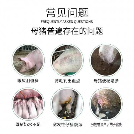 【华农利邦】 母力健 2斤/袋×10袋/桶  母猪保健补充益生菌地衣芽孢杆菌