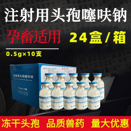【华农利邦】注射用头孢噻呋钠 10支/盒×24盒/件 头孢抗菌药呼吸道感染细菌性...