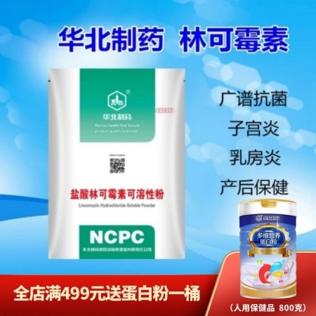 【华北制药】10%  盐酸林可霉素可溶性粉1000g  肠炎 盆腔炎 子宫炎症