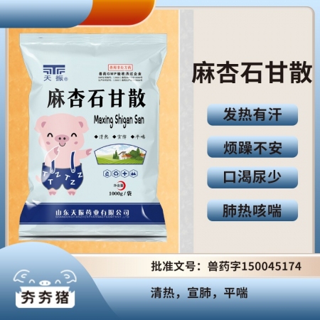 【夯夯猪】麻杏石甘散1000g呼吸道感染肺热咳喘清热宣肺平喘镇咳祛痰