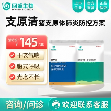 【回盛生物】|支原清|猪支原体病防治方案 支原体肺炎干咳喘气咳嗽呼吸道病支原净强力霉素