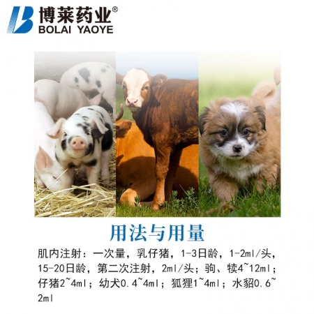 【博莱兽药】 5%右旋糖酐铁注射液牲血素仔猪缺铁补血贫血兽药补铁针