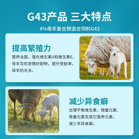 【贞齐饲料】4%种母羊预混料繁殖母羊妊娠期哺乳期促发情配种九五牧业