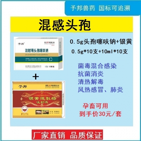 【予邦】混感頭孢組合（0.5g注射用頭孢噻呋鈉+銀黃提取物注射液）抗菌消炎，解熱退燒抗病毒 孕畜可用