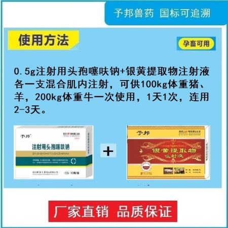 【予邦】混感頭孢組合（0.5g注射用頭孢噻呋鈉+銀黃提取物注射液）抗菌消炎，解熱退燒抗病毒 孕畜可用