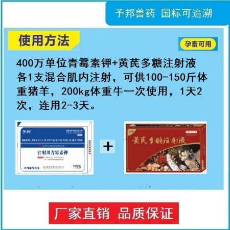 【予邦】高熱病綜合征組合（注射用青霉素鉀+黃芪多糖注射液）菌毒混合感染 高燒高熱 豬牛羊孕畜可用