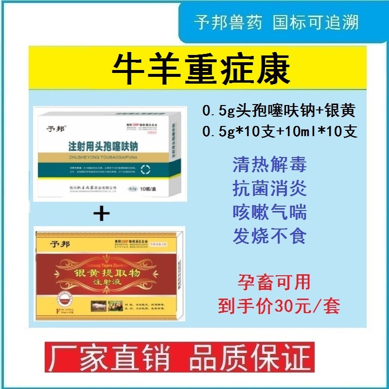 【予邦】豬牛羊重癥康組合（0.5g注射用頭孢噻呋鈉+銀黃提取物注射液）抗菌消炎清...